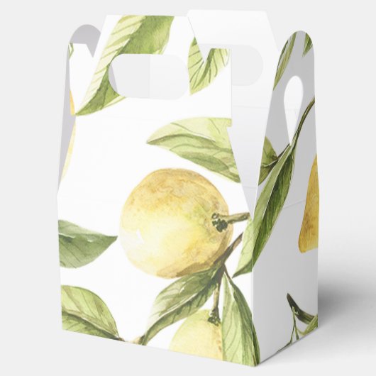 Zitronenbaum Geschenkschachtel (Geöffnet)