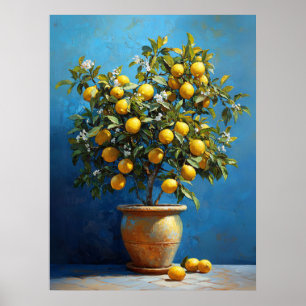 Zitronenbaum in Terrakottatopf mit Blüten Poster