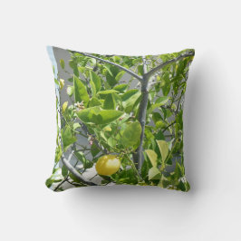 Zitronenbaum sehr schön auf diesem Kissen! Kissen