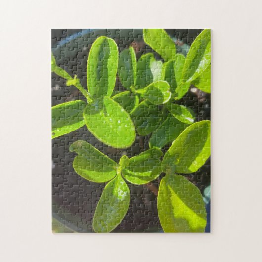 Zitronenbaumgarten Pflanzen Frühling Puzzle (Vertikal)