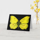 Zitronenfalter Karte (Gelbe Blume)