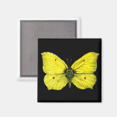 Zitronenfalter Magnet (Vorderseite/Rückseite)