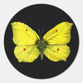 Zitronenfalter Runder Aufkleber (Vorderseite)