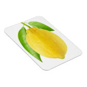 Zitronenfrucht Magnet (Rechte Seite)