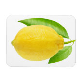 Zitronenfrucht Magnet (Horizontal)