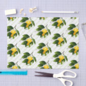 Zitronenfrucht Seidenpapier (Handwerk)