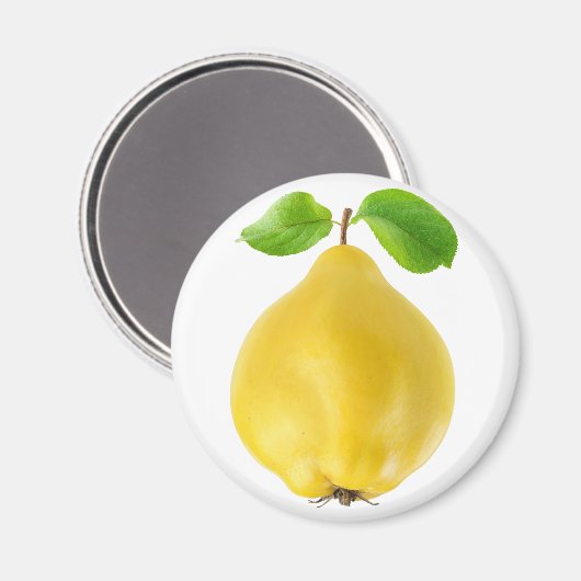 Zitronenfrüchte Magnet (Vorderseite/Rückseite)