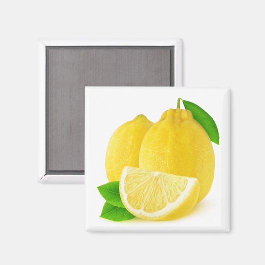 Zitronenfrüchte Magnet (Vorderseite/Rückseite)