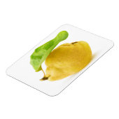 Zitronenfrüchte Magnet (Linke Seite)