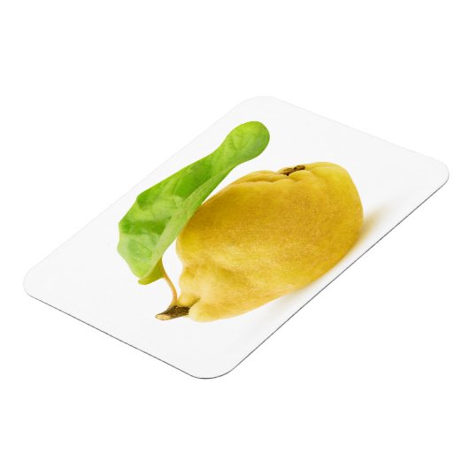 Zitronenfrüchte Magnet (Linke Seite)