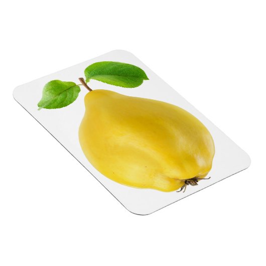 Zitronenfrüchte Magnet (Rechte Seite)