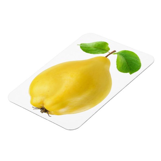 Zitronenfrüchte Magnet (Linke Seite)