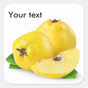 Zitronenfrüchte Quadratischer Aufkleber