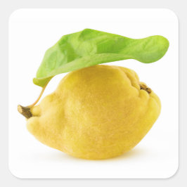 Zitronenfrüchte Quadratischer Aufkleber