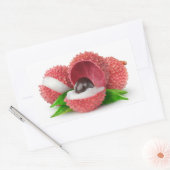 Zitronenfrüchte Rechteckiger Aufkleber (Umschlag)