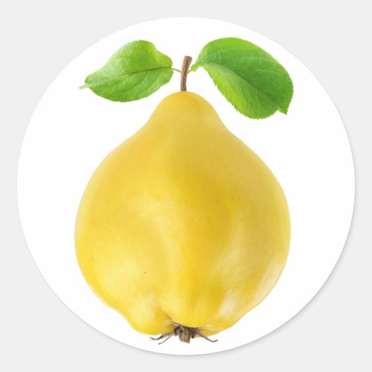 Zitronenfrüchte Runder Aufkleber (Vorderseite)