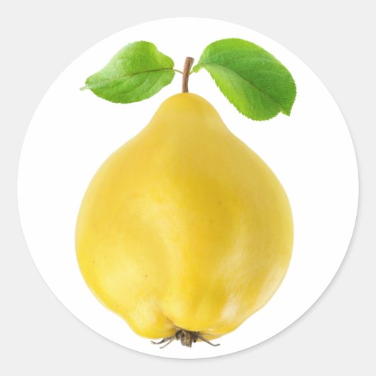 Zitronenfrüchte Runder Aufkleber (Vorderseite)