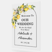 Zitronenfrüchte-Zitrusfrüchte Acrylschild (Winkel)