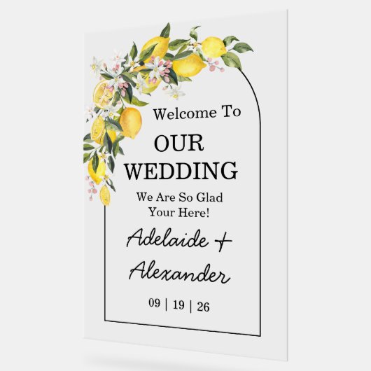 Zitronenfrüchte-Zitrusfrüchte Acrylschild (Winkel)