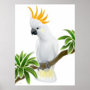 Zitronengelbes Cockatoo-Plakat mit Haube Poster