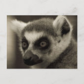 Zitronengesicht Postkarte (Vorderseite)