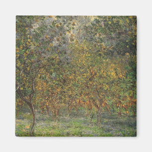 Zitronenhain in Bordighera von Claude Monet Magnet