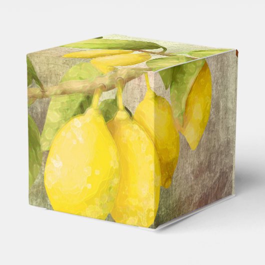 Zitronenmalerei Geschenkschachtel (Rückseite)