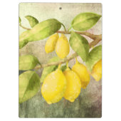 Zitronenmalerei Klemmbrett (Rückseite)