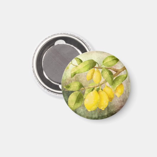 Zitronenmalerei Magnet (Vorderseite/Rückseite)