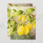 Zitronenmalerei Postkarte (Vorne/Hinten)