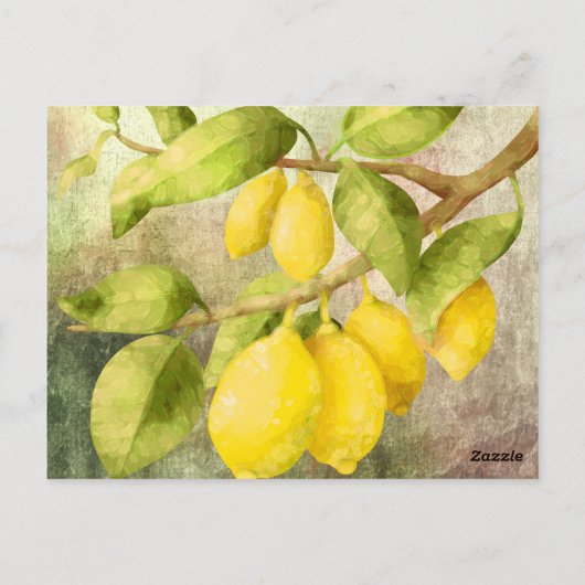 Zitronenmalerei Postkarte (Rückseite)