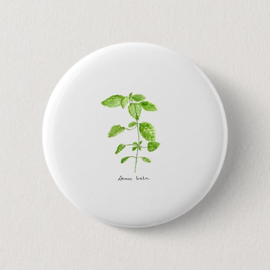 Zitronenmelisse Kraut Aquarell Garten Button (Vorderseite)