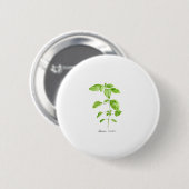 Zitronenmelisse Kraut Aquarell Garten Button (Vorne & Hinten)