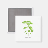 Zitronenmelisse-Kräuter-Aquarellgarten Magnet (Vorderseite/Rückseite)
