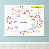 Zitronensäurezyklus, TCA-Zyklus, Krebs Zyklusdiagr Leinwanddruck (Insitu (Holzboden))