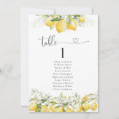 Zitronenschale und Zitrusfrüchte (Vorderseite)