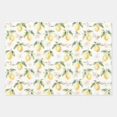 Zitrus Lemon Frucht florales botanisches Muster Geschenkpapier Set (Vorderseite 3)