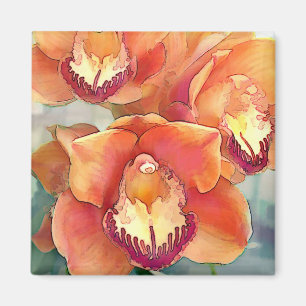 Zitrusfrucht farbige Cymbidiums Magnet