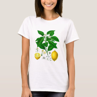 Zitrusfrucht-Zitronen-botanische Druck-Nr. 7 Kunst T-Shirt