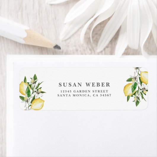 Zitrusfrüchte (Insitu)