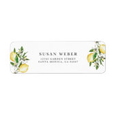 Zitrusfrüchte (Vorne)