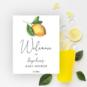 Zitrusfrüchte-Babydusche Poster