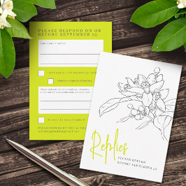 Zitrusfrüchte Blüte Hochzeit Antwort UAWG