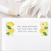 Zitrusfrüchte, gelb und grün (Insitu)