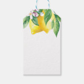 Zitrusfrüchte Geschenkanhänger (Vorderseite)