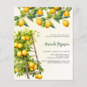 Zitrusfrüchte-Haushalt Brautdusche Einladung (Vorderseite)