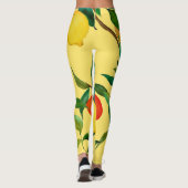 Zitrusfrüchte, lebendiges Aquarellmuster. Leggings (Rückseite)
