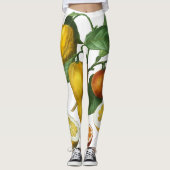 ZITRUSFRÜCHTE LEGGINGS (Vorderseite)