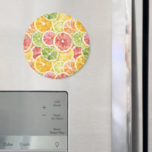 Zitrusfrüchte Limette Zitrone Orange Grapefruit Magnet (In Situ (Kühlschrank))