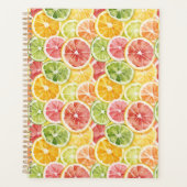 Zitrusfrüchte Limette Zitrone Orange Grapefruit Planer (Vorderseite)